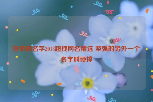 好听的名字2018超拽网名精选 坚强的另外一个名字叫硬撑