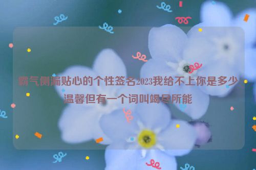 霸气侧漏贴心的个性签名2023我给不上你是多少温馨但有一个词叫竭尽所能