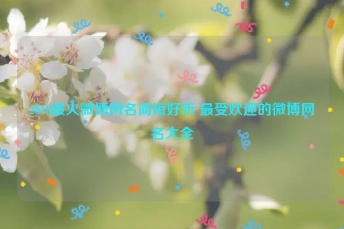 2018最火微博网名简短好听 最受欢迎的微博网名大全