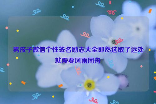 男孩子微信个性签名励志大全即然选取了远处就需要风雨同舟