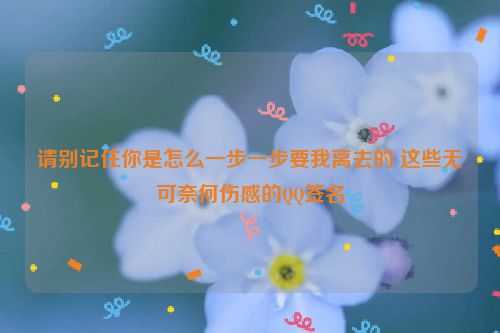 请别记住你是怎么一步一步要我离去的 这些无可奈何伤感的QQ签名