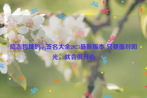 励志哲理的qq签名大全2023最新版本 只要面对阳光，就会很开心