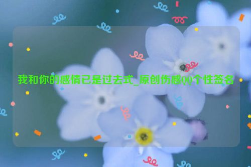 我和你的感情已是过去式_原创伤感QQ个性签名