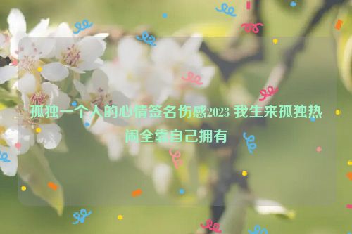 孤独一个人的心情签名伤感2023 我生来孤独热闹全靠自己拥有