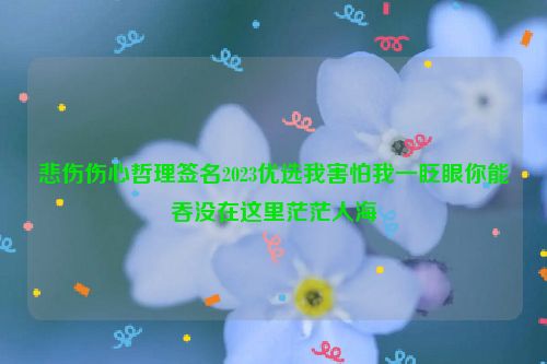 悲伤伤心哲理签名2023优选我害怕我一眨眼你能吞没在这里茫茫人海