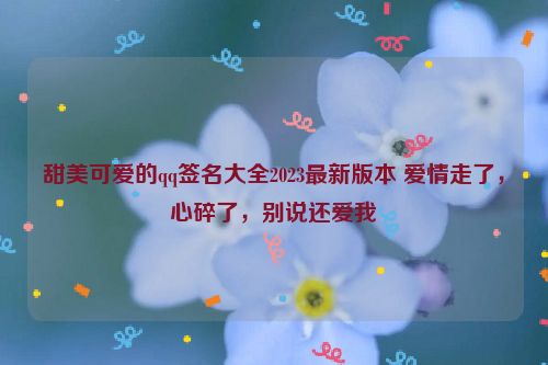 甜美可爱的qq签名大全2023最新版本 爱情走了，心碎了，别说还爱我