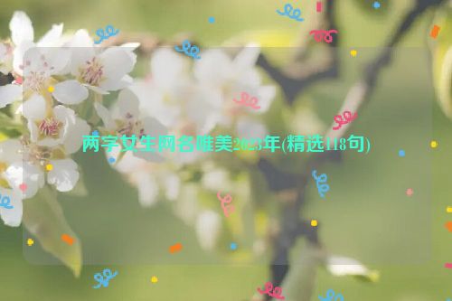 两字女生网名唯美2023年(精选118句)