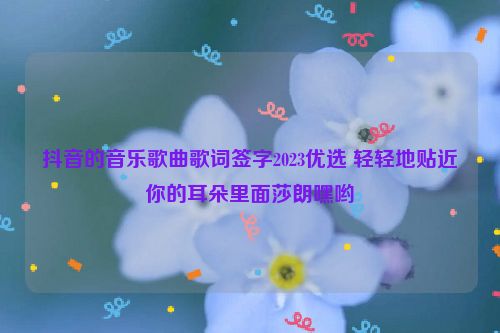 抖音的音乐歌曲歌词签字2023优选 轻轻地贴近你的耳朵里面莎朗嘿哟