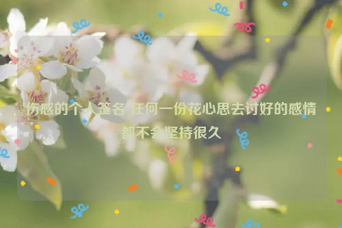 伤感的个人签名 任何一份花心思去讨好的感情都不会坚持很久