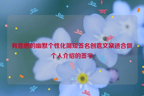 有意思的幽默个性化简短签名创意文案适合做个人介绍的签字