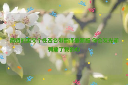 简短的英文个性签名带翻译最新版 你会发光却刺痛了我的心