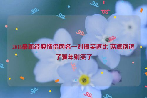 2018最新经典情侣网名一对搞笑逗比 菇凉别逗了骚年别笑了