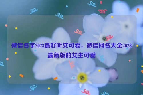 微信名字2023最好听女可爱，微信网名大全2023最新版的女生可爱