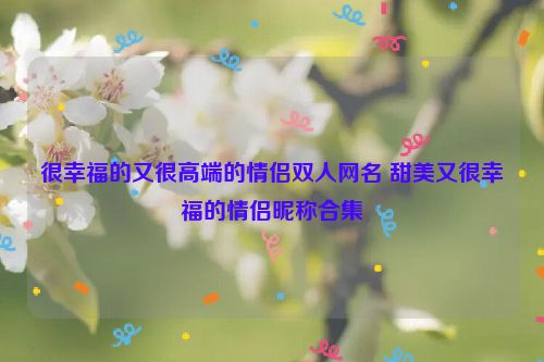 很幸福的又很高端的情侣双人网名 甜美又很幸福的情侣昵称合集