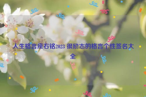 人生格言座右铭2023 很励志的格言个性签名大全