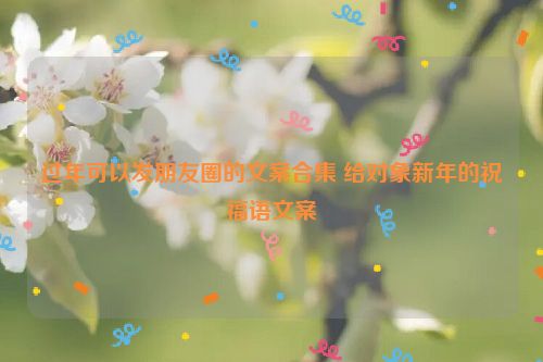 过年可以发朋友圈的文案合集 给对象新年的祝福语文案