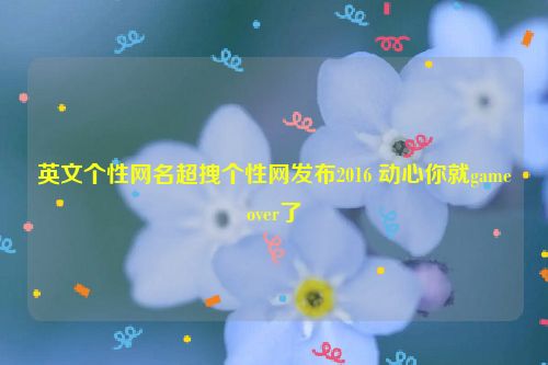 英文个性网名超拽个性网发布2016 动心你就gameover了