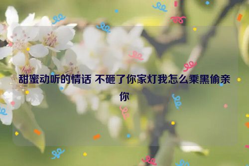 甜蜜动听的情话 不砸了你家灯我怎么乘黑偷亲你