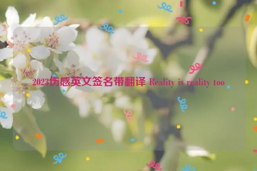 2023伤感英文签名带翻译 Reality is reality too