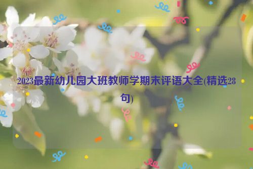 2023最新幼儿园大班教师学期末评语大全(精选28句)