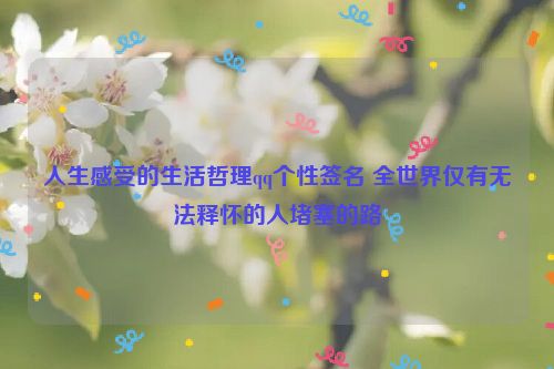 人生感受的生活哲理qq个性签名 全世界仅有无法释怀的人堵塞的路