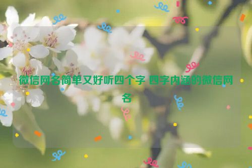 微信网名简单又好听四个字 四字内涵的微信网名