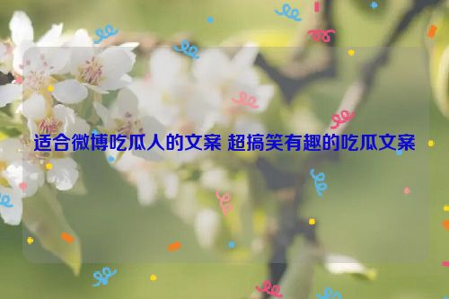 适合微博吃瓜人的文案 超搞笑有趣的吃瓜文案