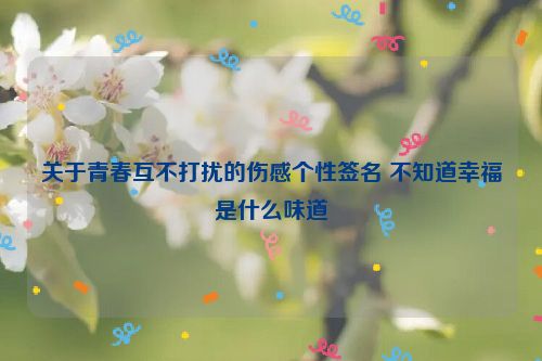 关于青春互不打扰的伤感个性签名 不知道幸福是什么味道