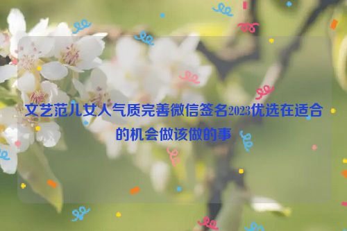 文艺范儿女人气质完善微信签名2023优选在适合的机会做该做的事