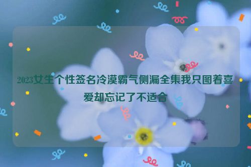 2023女生个性签名冷漠霸气侧漏全集我只图着喜爱却忘记了不适合