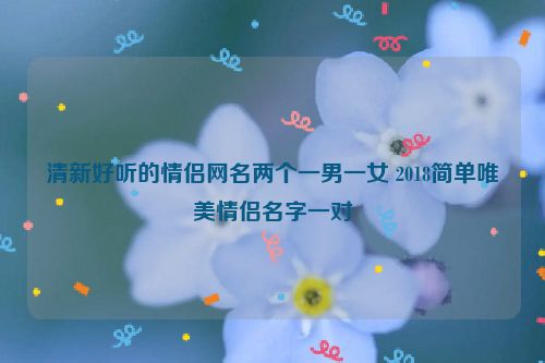 清新好听的情侣网名两个一男一女 2018简单唯美情侣名字一对