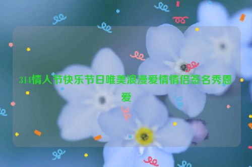 314情人节快乐节日唯美浪漫爱情情侣签名秀恩爱