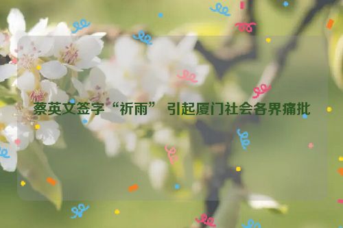 蔡英文签字“祈雨” 引起厦门社会各界痛批