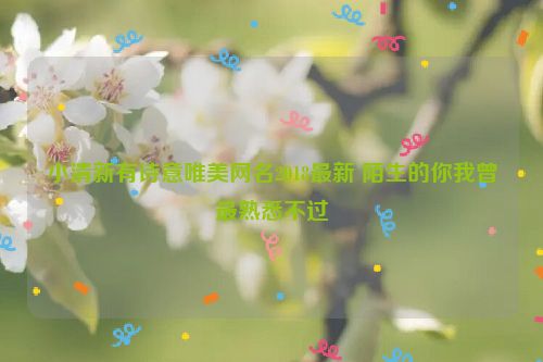 小清新有诗意唯美网名2018最新 陌生的你我曾最熟悉不过