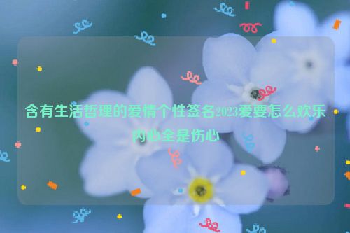 含有生活哲理的爱情个性签名2023爱要怎么欢乐内心全是伤心