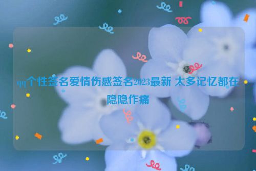 qq个性签名爱情伤感签名2023最新 太多记忆都在隐隐作痛