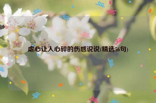 虐心让人心碎的伤感说说(精选56句)