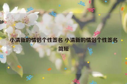 小清新的情侣个性签名 小清新的情侣个性签名简短