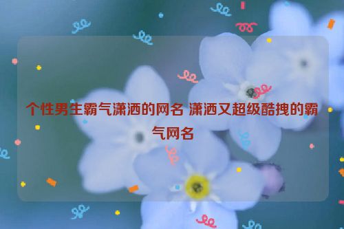 个性男生霸气潇洒的网名 潇洒又超级酷拽的霸气网名