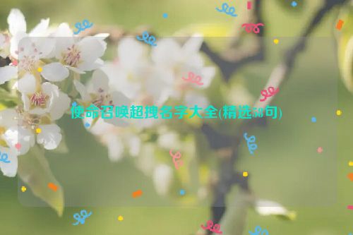 使命召唤超拽名字大全(精选58句)