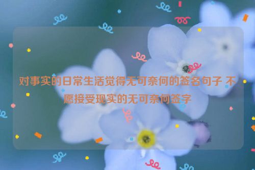 对事实的日常生活觉得无可奈何的签名句子 不愿接受现实的无可奈何签字