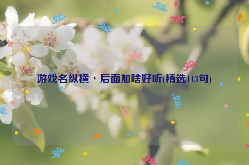 游戏名纵横丶后面加啥好听(精选113句)