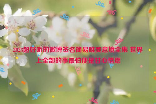 2023超好听的微博签名简易唯美意境全集 世界上全部的事最怕便是甘心情愿