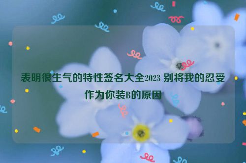 表明很生气的特性签名大全2023 别将我的忍受作为你装B的原因