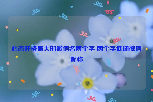 心态好格局大的微信名两个字 两个字低调微信昵称