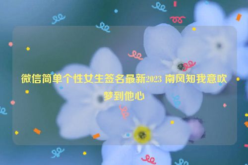 微信简单个性女生签名最新2023 南风知我意吹梦到他心