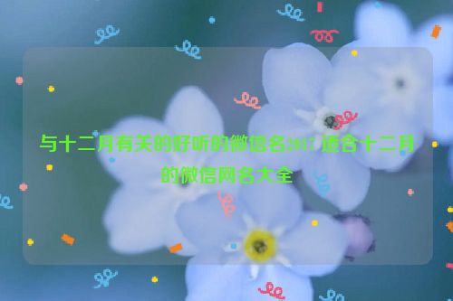 与十二月有关的好听的微信名2017 适合十二月的微信网名大全