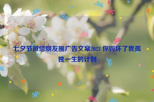 七夕节微信朋友圈广告文案2023 你毁坏了我孤独一生的计划