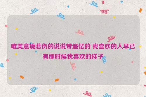 唯美意境悲伤的说说带追忆的 我喜欢的人早已沒有那时候我喜欢的样子