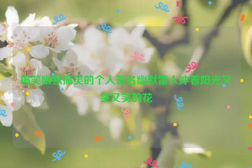 搞笑幽默搞笑的个人签名幽默雷人冲着阳光又哭又笑的花